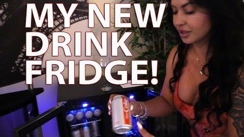 NewAir (AWB-360DB) 18-Bottle and 60-Can Capacity Built-in Dual Zone Wine and Beverage Fridge - My NewAir AWB-360DB Dual Zone Wine & Beverage Cooler Is THA BOMB!